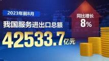 国产在线精,引领潮流的智能娱乐新篇章